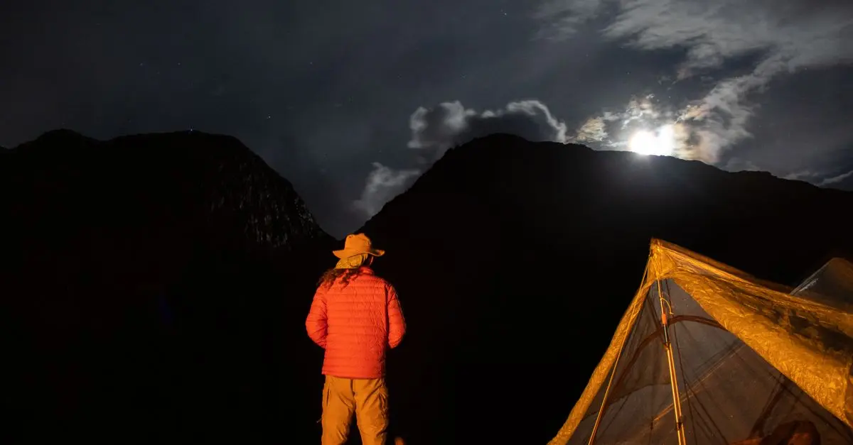 Les Meilleures Techniques de Survie en Milieu Sauvage