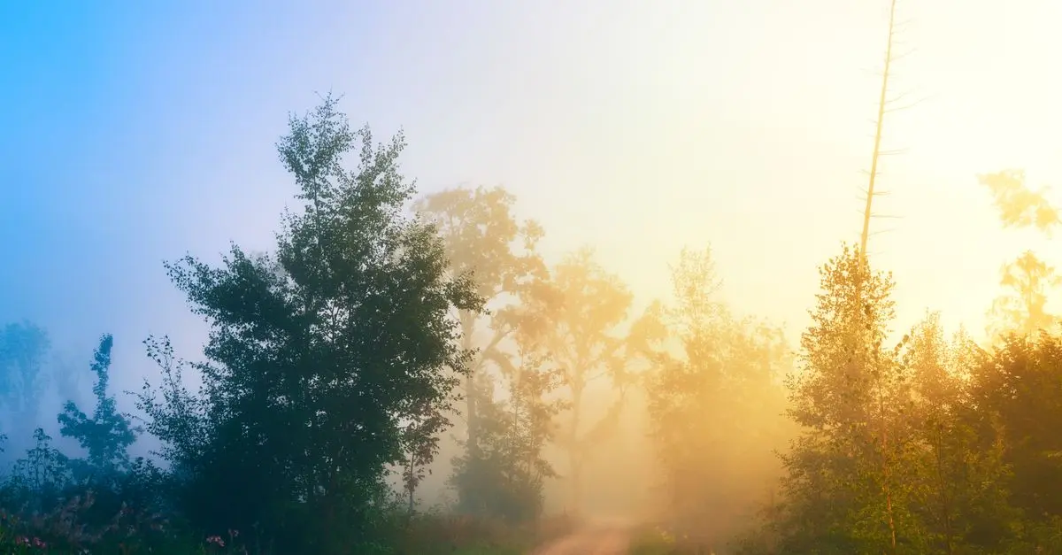 Les Bienfaits du Voyage en Pleine Nature
