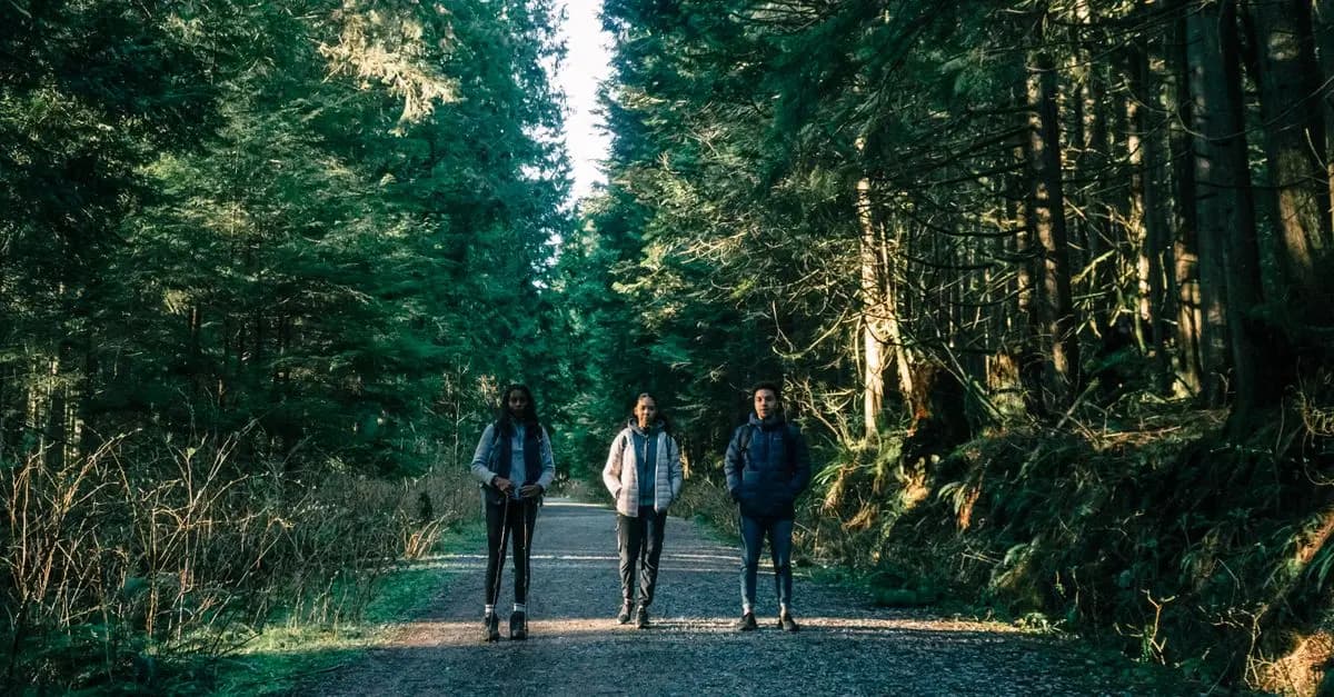 Tendances du Tourisme Sauvage à Suivre en 2026