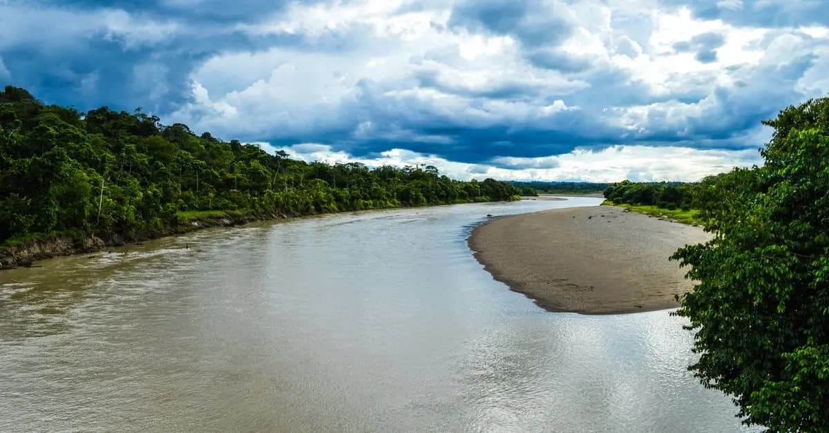 Les Meilleures Destinations pour un Voyage en Tourisme Sauvage