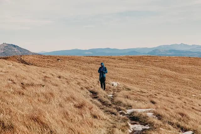 Les Meilleures Équipements pour le Voyage en Tourisme Sauvage