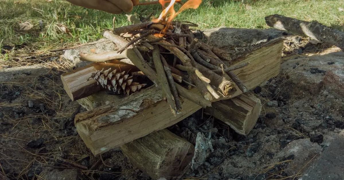 Les Meilleures Techniques de Survie en Milieu Sauvage