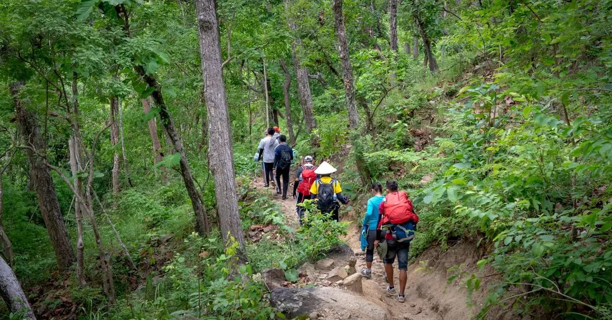 Guide Complet pour les Meilleures Activités de Tourisme Sauvage
