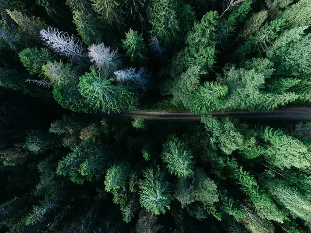 Voyage et tourisme sauvage : 10 destinations à découvrir