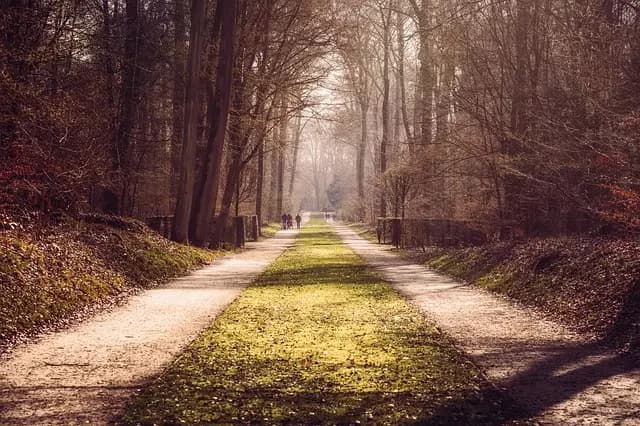 Guide Complet pour Planifier un Voyage en Tourisme Sauvage
