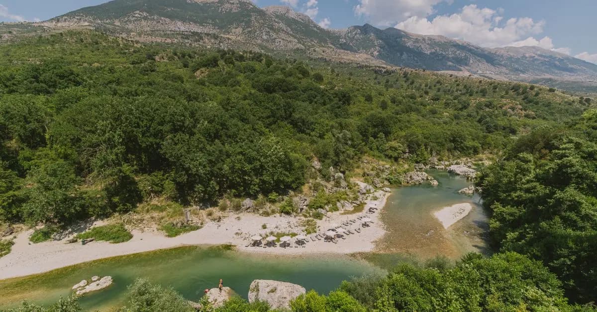 Guide Pratique pour Organiser un Voyage Sauvage Réussi