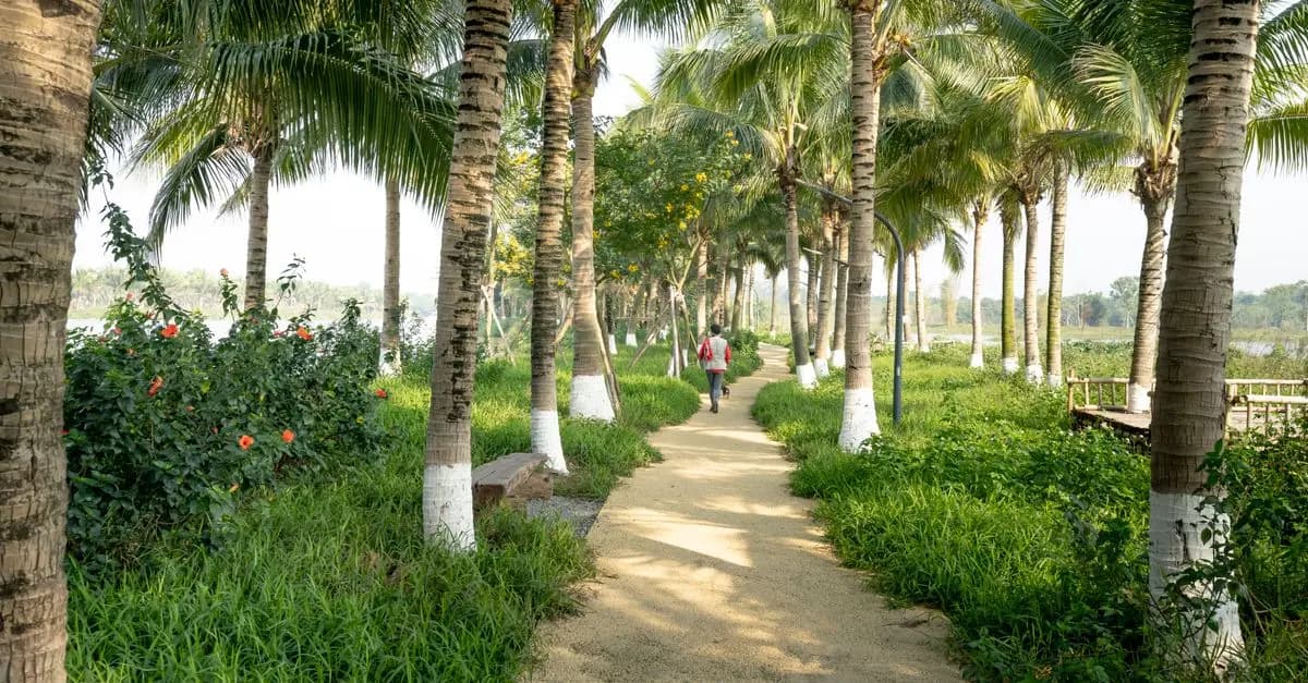 Comment Respecter l'Environnement en Voyage ?