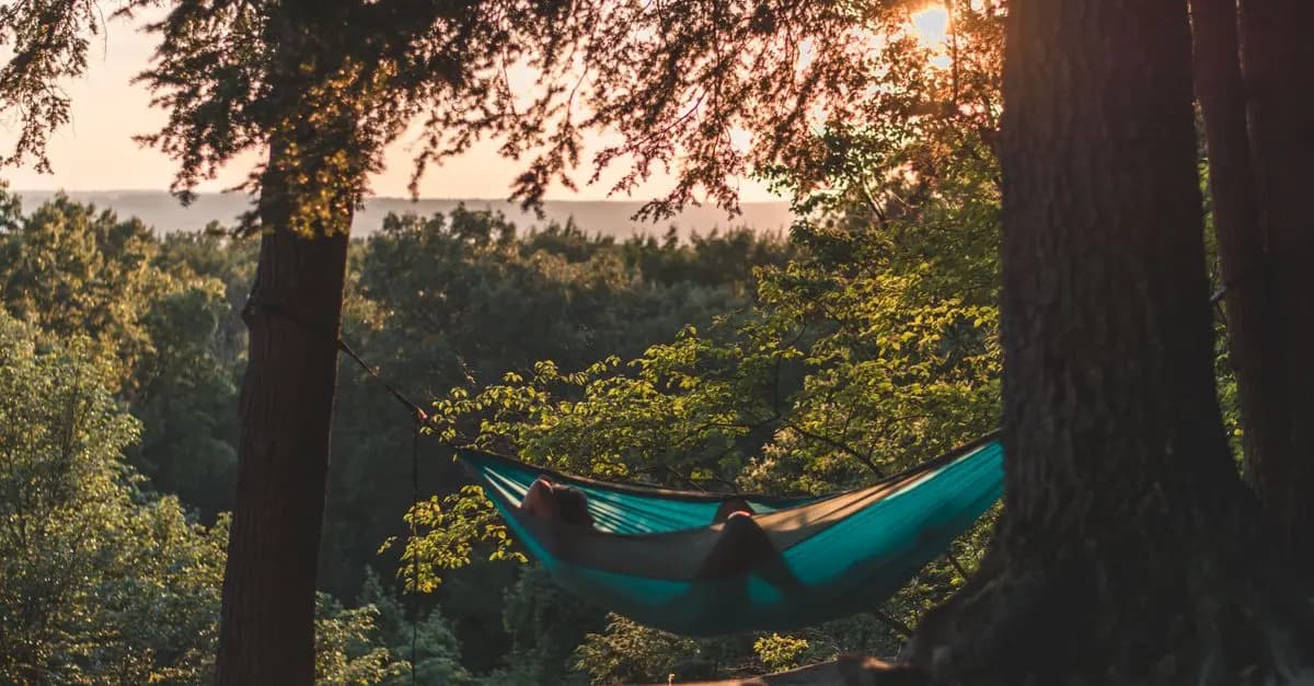 Comparatif : Tente ou Hamac pour le Camping Sauvage ?