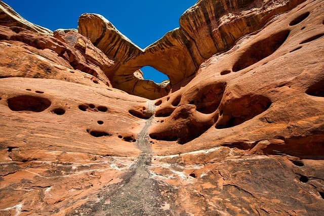 Les Meilleures Destinations de Tourisme Sauvage à Explorer
