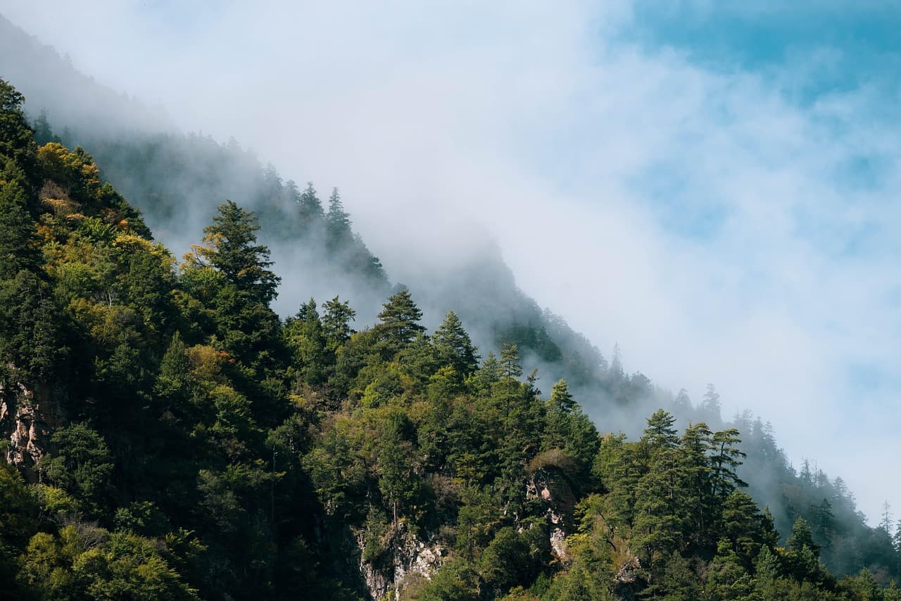 Les Meilleures Techniques de Survie en Milieu Sauvage