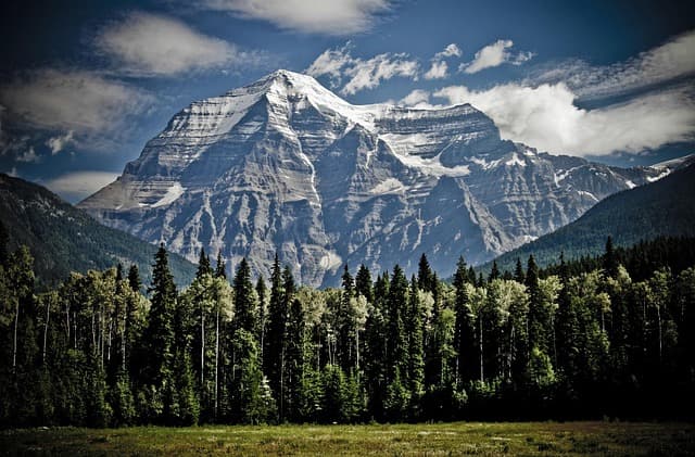 Les Meilleures Destinations pour le Tourisme Sauvage