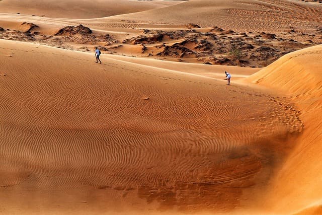 Les Tendances du Tourisme Sauvage à Suivre