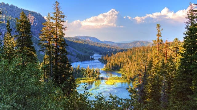 Les Destinations Incontournables pour le Voyage Sauvage en 2026